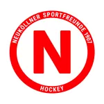 team logo